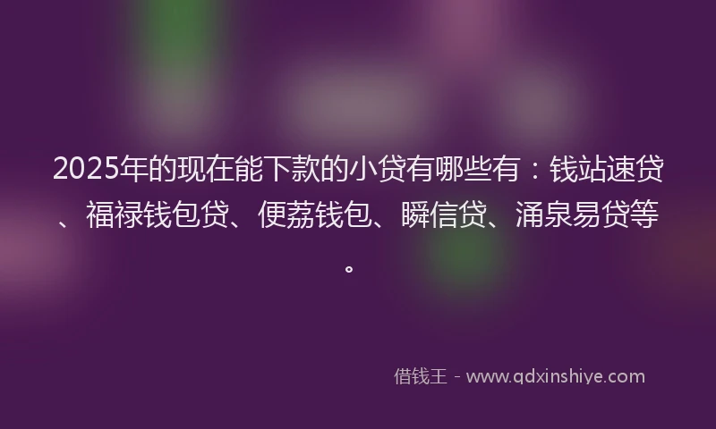 2025年的现在能下款的小贷有哪些有：钱站速贷、福禄钱包贷、便荔钱包、瞬信贷、涌泉易贷等。