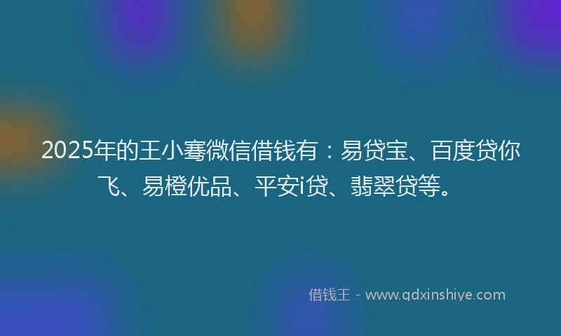 2025年的王小骞微信借钱有：易贷宝、百度贷你飞、易橙优品、平安i贷、翡翠贷等。