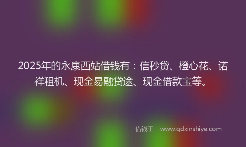 2025年的永康西站借钱有：信秒贷、橙心花、诺祥租机、现金易融贷途、现金借款宝等。