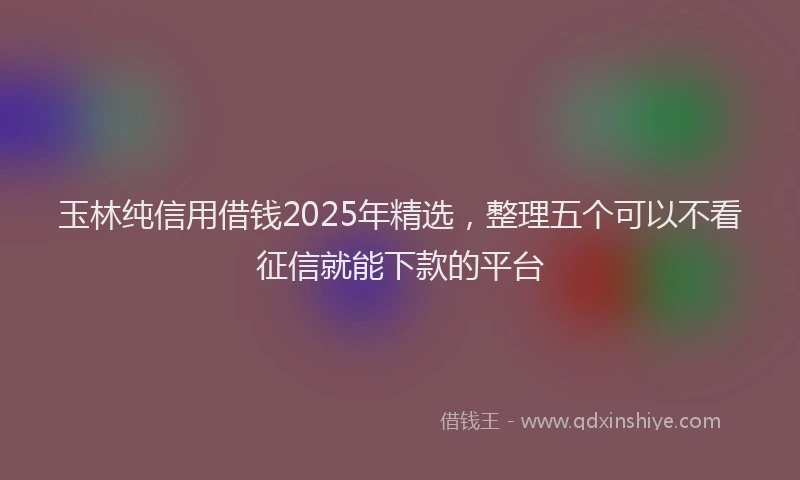 玉林纯信用借钱2025年精选，整理五个可以不看征信就能下款的平台