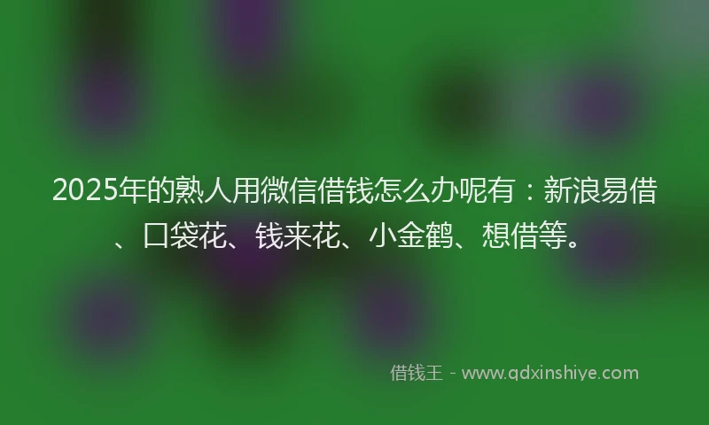 2025年的熟人用微信借钱怎么办呢有：新浪易借、口袋花、钱来花、小金鹤、想借等。