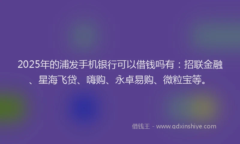 2025年的浦发手机银行可以借钱吗有：招联金融、星海飞贷、嗨购、永卓易购、微粒宝等。
