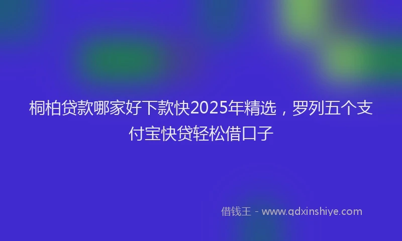 桐柏贷款哪家好下款快2025年精选，罗列五个支付宝快贷轻松借口子