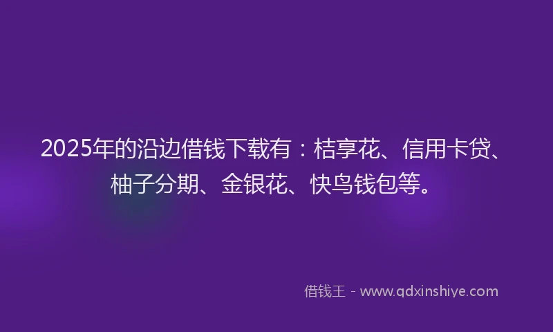 2025年的沿边借钱下载有：桔享花、信用卡贷、柚子分期、金银花、快鸟钱包等。