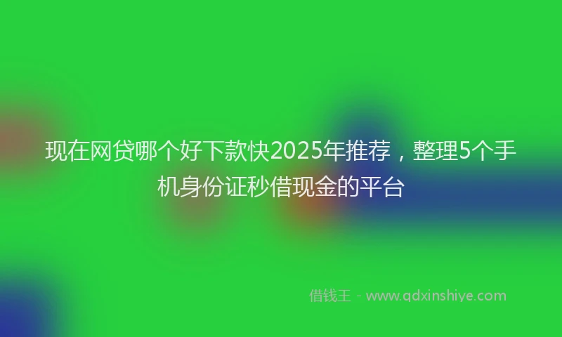 现在网贷哪个好下款快2025年推荐，整理5个手机身份证秒借现金的平台