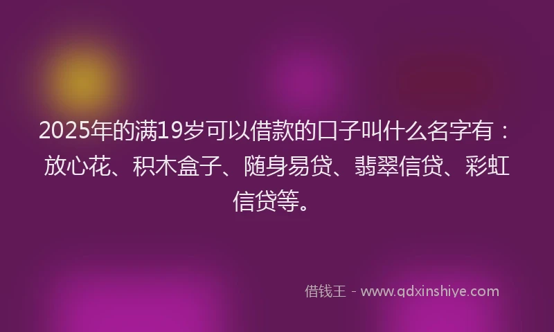2025年的满19岁可以借款的口子叫什么名字有：放心花、积木盒子、随身易贷、翡翠信贷、彩虹信贷等。