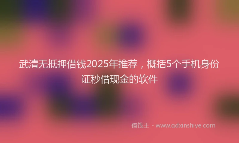 武清无抵押借钱2025年推荐，概括5个手机身份证秒借现金的软件