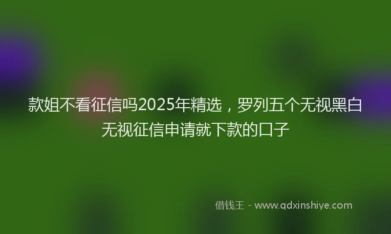 款姐不看征信吗2025年精选，罗列五个无视黑白无视征信申请就下款的口子