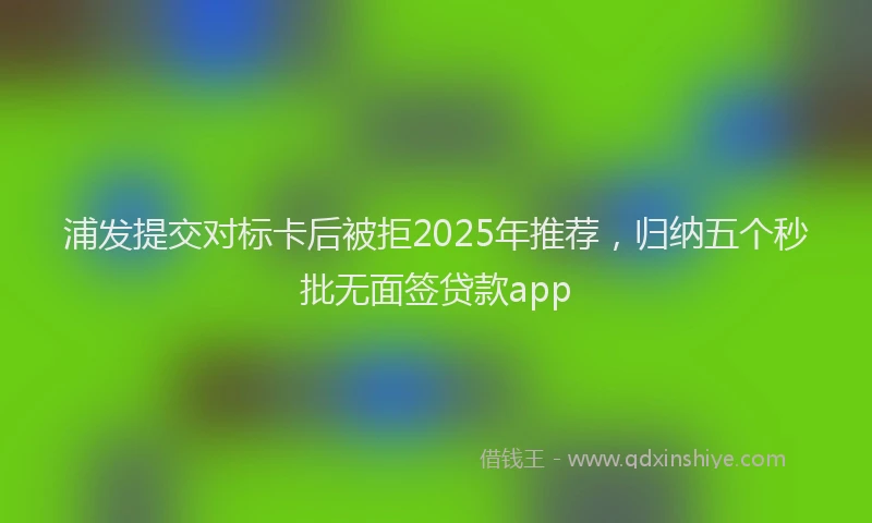 浦发提交对标卡后被拒2025年推荐，归纳五个秒批无面签贷款app