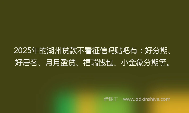 2025年的湖州贷款不看征信吗贴吧有：好分期、好居客、月月盈贷、福瑞钱包、小金象分期等。