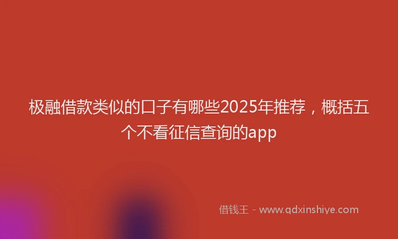极融借款类似的口子有哪些2025年推荐，概括五个不看征信查询的app