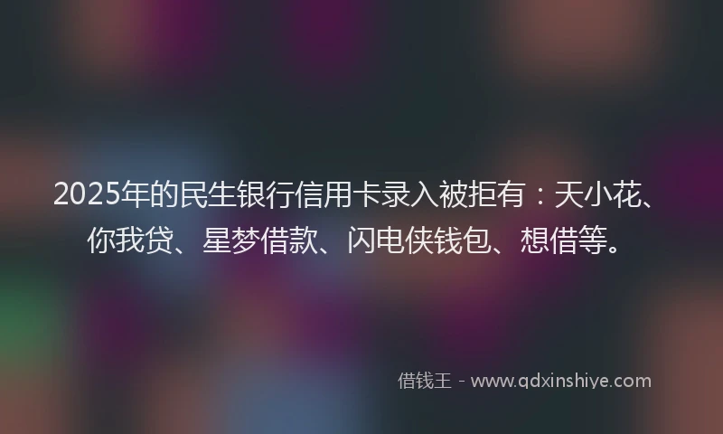2025年的民生银行信用卡录入被拒有：天小花、你我贷、星梦借款、闪电侠钱包、想借等。