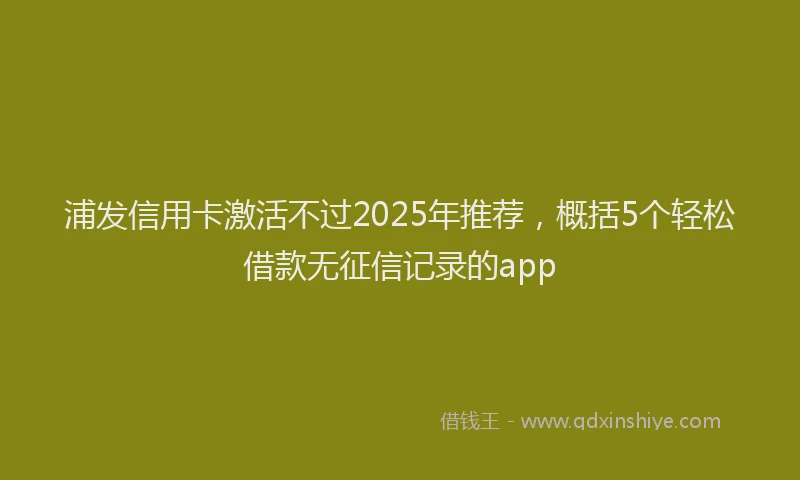 浦发信用卡激活不过2025年推荐，概括5个轻松借款无征信记录的app