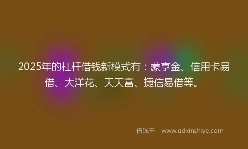 2025年的杠杆借钱新模式有：蒙享金、信用卡易借、大洋花、天天富、捷信易借等。