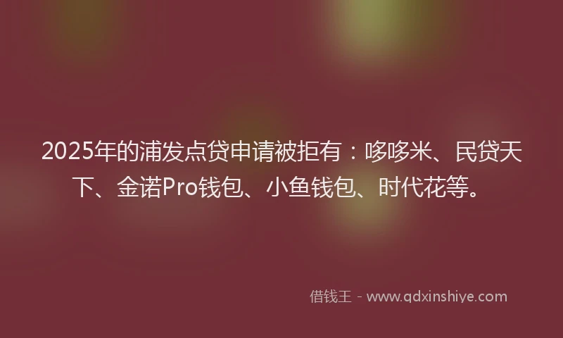 2025年的浦发点贷申请被拒有：哆哆米、民贷天下、金诺Pro钱包、小鱼钱包、时代花等。