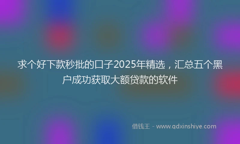 求个好下款秒批的口子2025年精选，汇总五个黑户成功获取大额贷款的软件