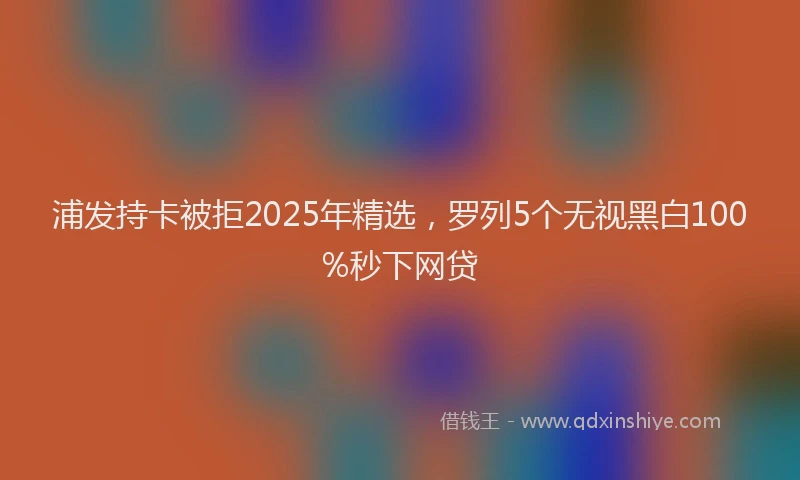 浦发持卡被拒2025年精选，罗列5个无视黑白100%秒下网贷