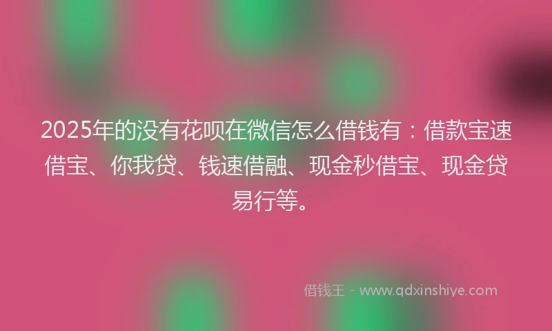 2025年的没有花呗在微信怎么借钱有：借款宝速借宝、你我贷、钱速借融、现金秒借宝、现金贷易行等。