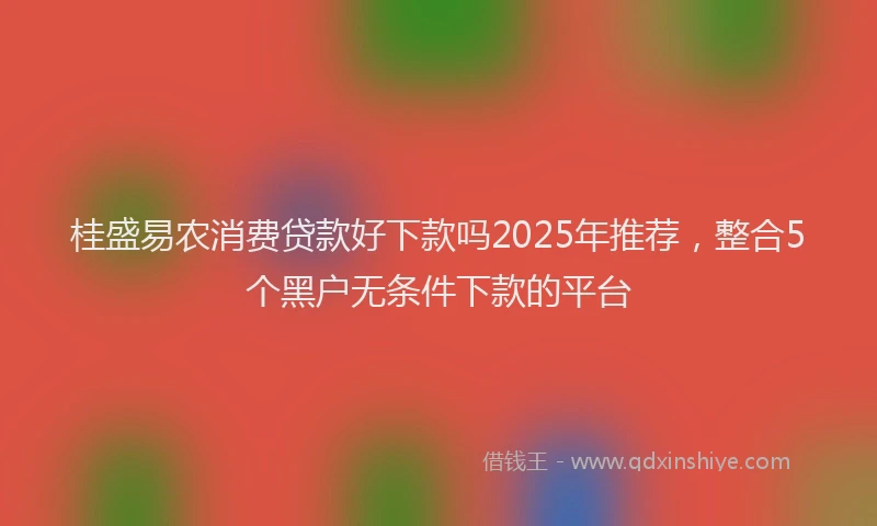 桂盛易农消费贷款好下款吗2025年推荐，整合5个黑户无条件下款的平台