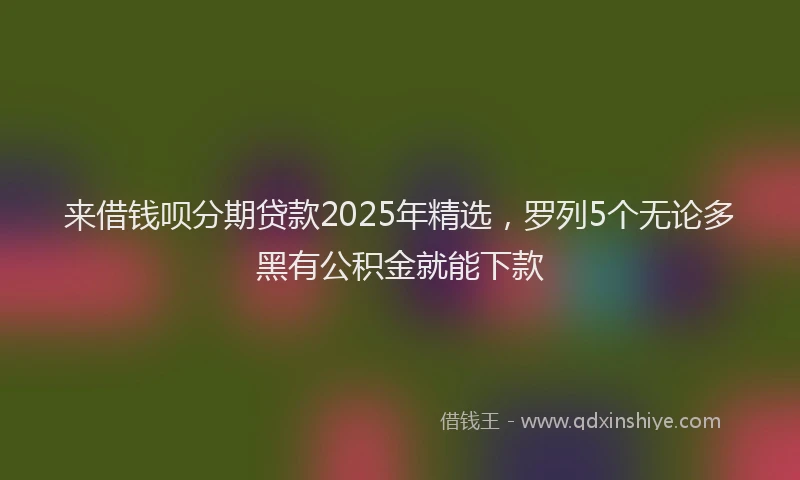 来借钱呗分期贷款2025年精选，罗列5个无论多黑有公积金就能下款