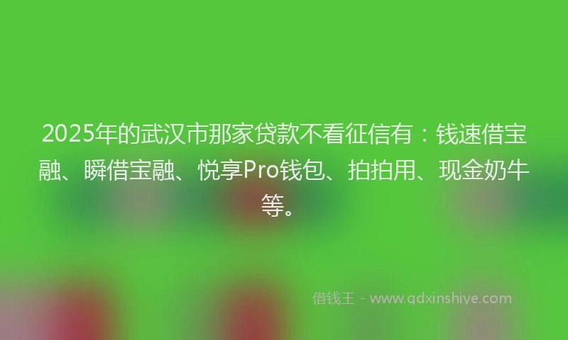 2025年的武汉市那家贷款不看征信有：钱速借宝融、瞬借宝融、悦享Pro钱包、拍拍用、现金奶牛等。