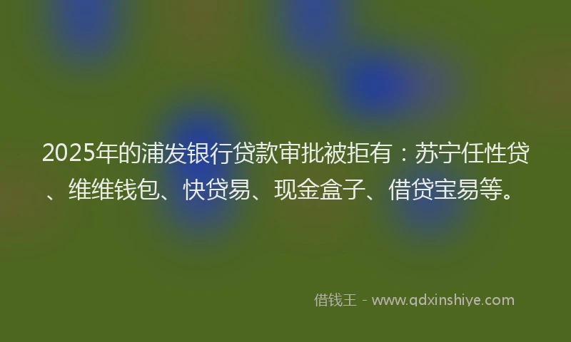2025年的浦发银行贷款审批被拒有：苏宁任性贷、维维钱包、快贷易、现金盒子、借贷宝易等。