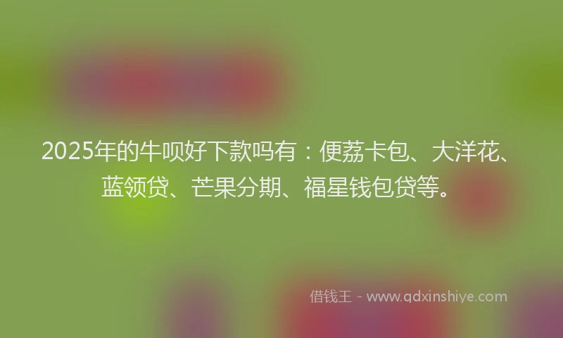 2025年的牛呗好下款吗有：便荔卡包、大洋花、蓝领贷、芒果分期、福星钱包贷等。