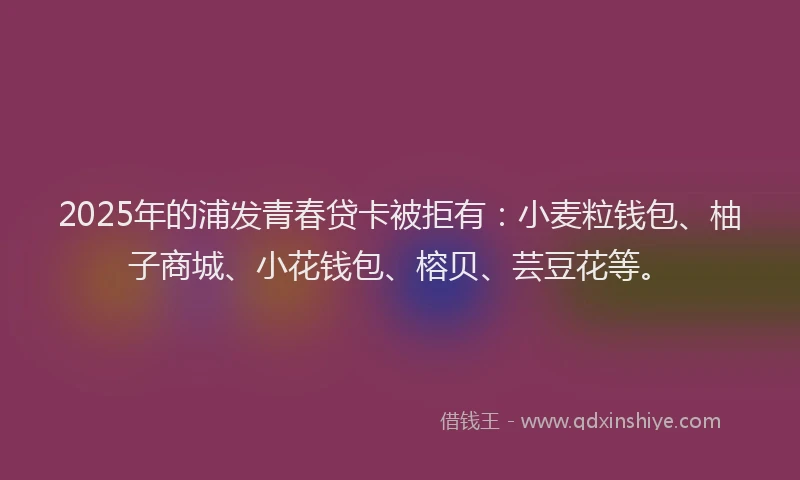 2025年的浦发青春贷卡被拒有：小麦粒钱包、柚子商城、小花钱包、榕贝、芸豆花等。