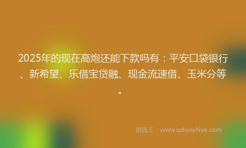 2025年的现在高炮还能下款吗有：平安口袋银行、新希望、乐借宝贷融、现金流速借、玉米分等。