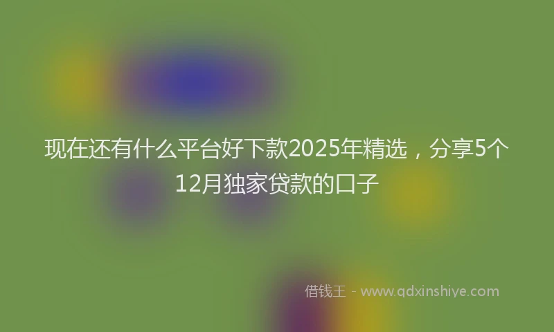 现在还有什么平台好下款2025年精选，分享5个12月独家贷款的口子