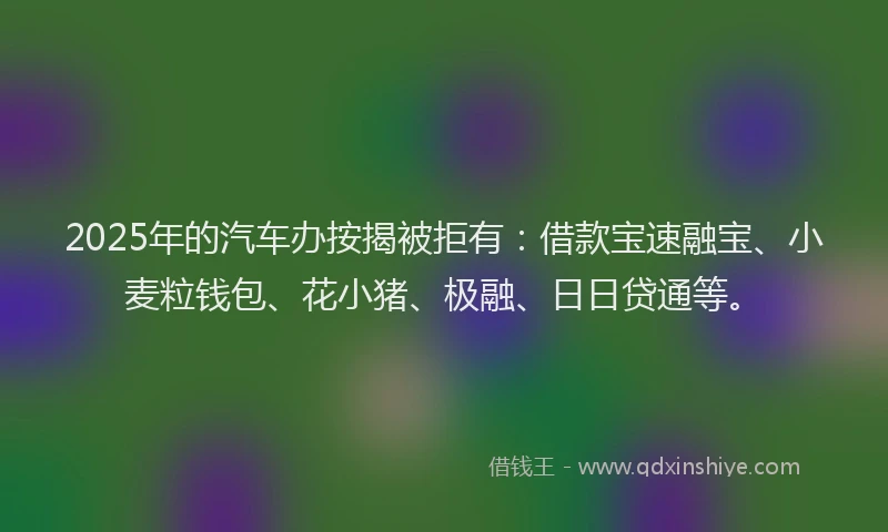 2025年的汽车办按揭被拒有：借款宝速融宝、小麦粒钱包、花小猪、极融、日日贷通等。