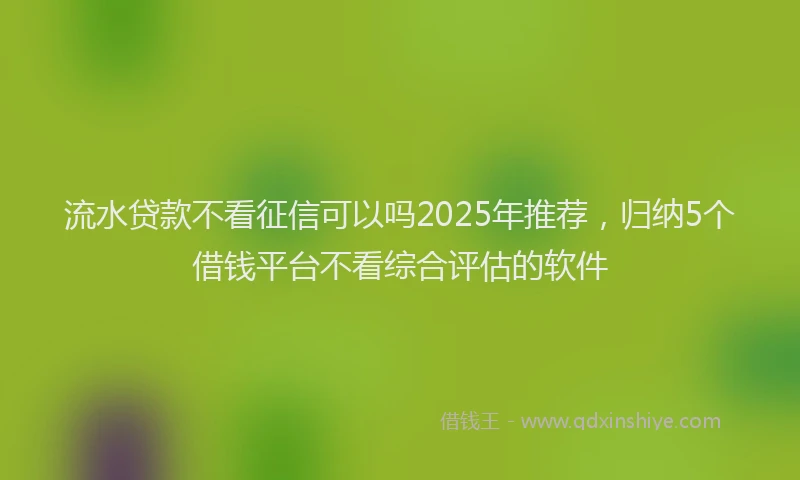 流水贷款不看征信可以吗2025年推荐，归纳5个借钱平台不看综合评估的软件