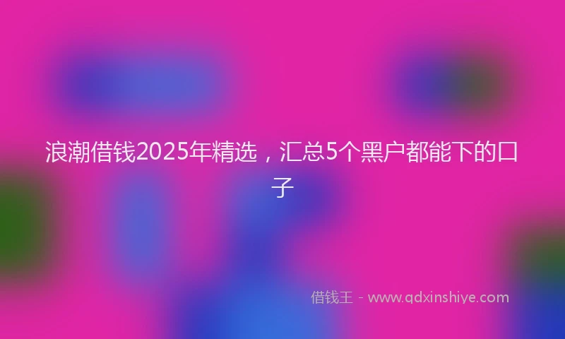浪潮借钱2025年精选，汇总5个黑户都能下的口子