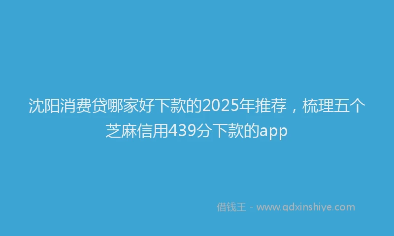 沈阳消费贷哪家好下款的2025年推荐，梳理五个芝麻信用439分下款的app