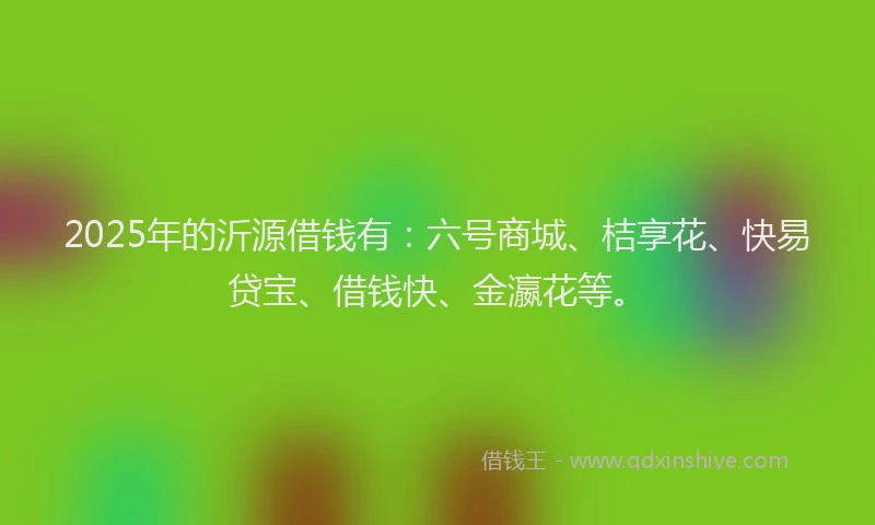 2025年的沂源借钱有：六号商城、桔享花、快易贷宝、借钱快、金瀛花等。