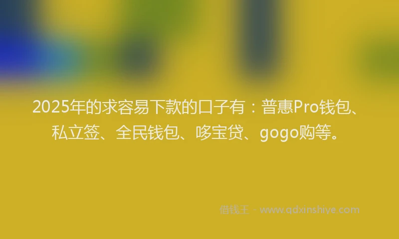 2025年的求容易下款的口子有：普惠Pro钱包、私立签、全民钱包、哆宝贷、gogo购等。