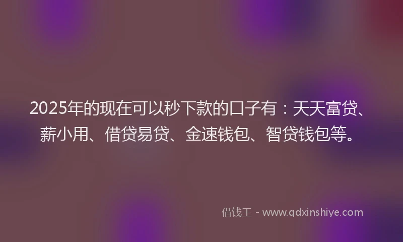 2025年的现在可以秒下款的口子有：天天富贷、薪小用、借贷易贷、金速钱包、智贷钱包等。