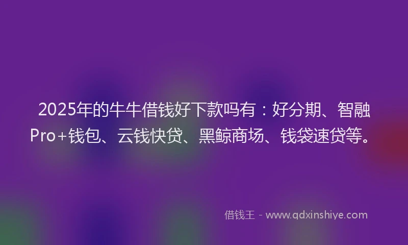 2025年的牛牛借钱好下款吗有：好分期、智融Pro+钱包、云钱快贷、黑鲸商场、钱袋速贷等。
