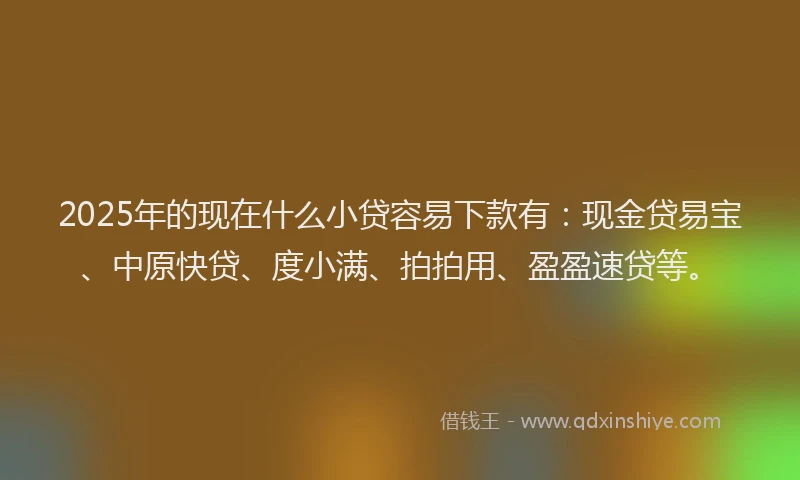 2025年的现在什么小贷容易下款有：现金贷易宝、中原快贷、度小满、拍拍用、盈盈速贷等。