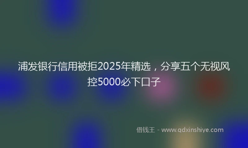 浦发银行信用被拒2025年精选，分享五个无视风控5000必下口子