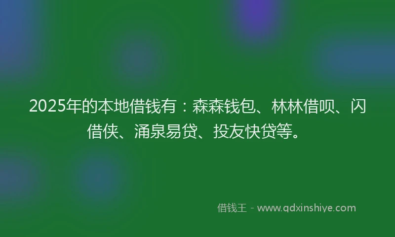 2025年的本地借钱有：森森钱包、林林借呗、闪借侠、涌泉易贷、投友快贷等。