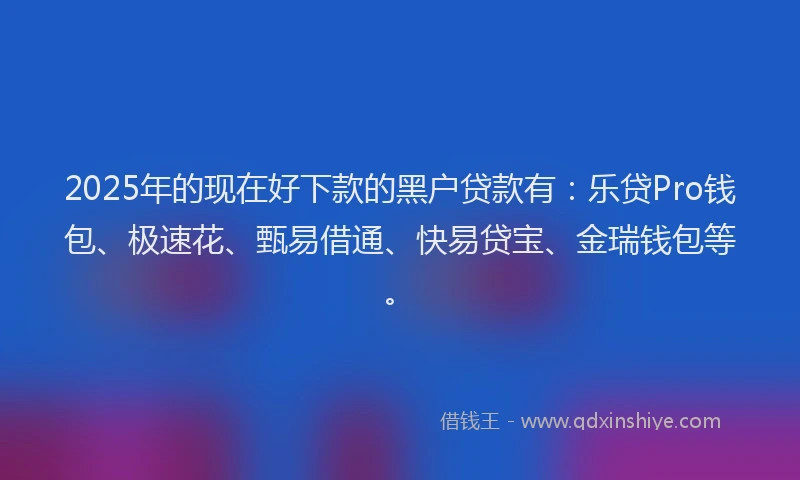 2025年的现在好下款的黑户贷款有：乐贷Pro钱包、极速花、甄易借通、快易贷宝、金瑞钱包等。