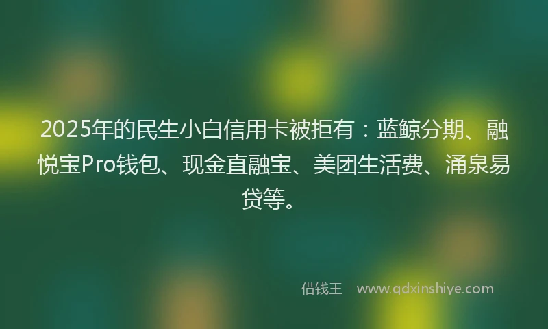 2025年的民生小白信用卡被拒有：蓝鲸分期、融悦宝Pro钱包、现金直融宝、美团生活费、涌泉易贷等。
