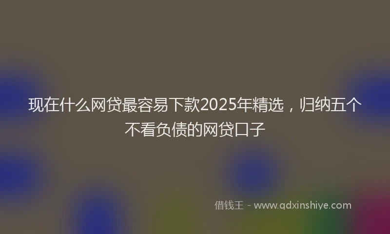 现在什么网贷最容易下款2025年精选，归纳五个不看负债的网贷口子