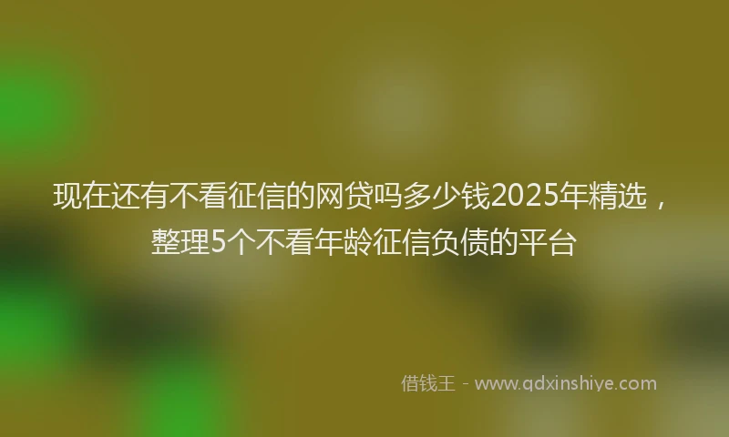 现在还有不看征信的网贷吗多少钱2025年精选，整理5个不看年龄征信负债的平台