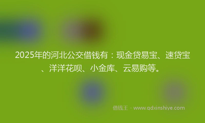 2025年的河北公交借钱有：现金贷易宝、速贷宝、洋洋花呗、小金库、云易购等。