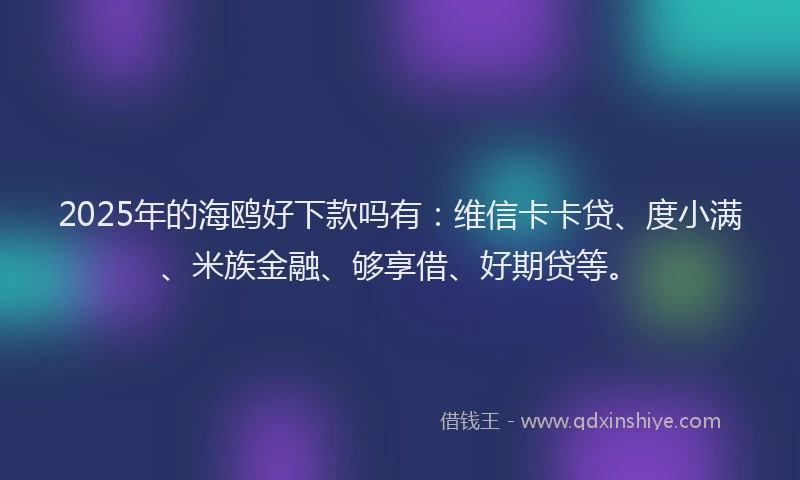 2025年的海鸥好下款吗有：维信卡卡贷、度小满、米族金融、够享借、好期贷等。