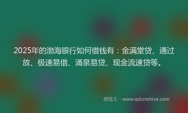2025年的渤海银行如何借钱有：金满堂贷、通过放、极速易借、涌泉易贷、现金流速贷等。