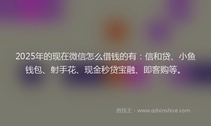 2025年的现在微信怎么借钱的有：信和贷、小鱼钱包、射手花、现金秒贷宝融、即客购等。
