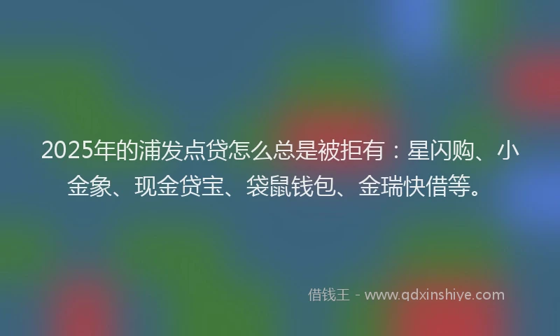 2025年的浦发点贷怎么总是被拒有：星闪购、小金象、现金贷宝、袋鼠钱包、金瑞快借等。